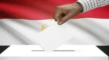 ضمان التصويت.. طرق سهلة لضمان سلاسة إدلاء صوتك في انتخابات 2025 بالرقم القومي